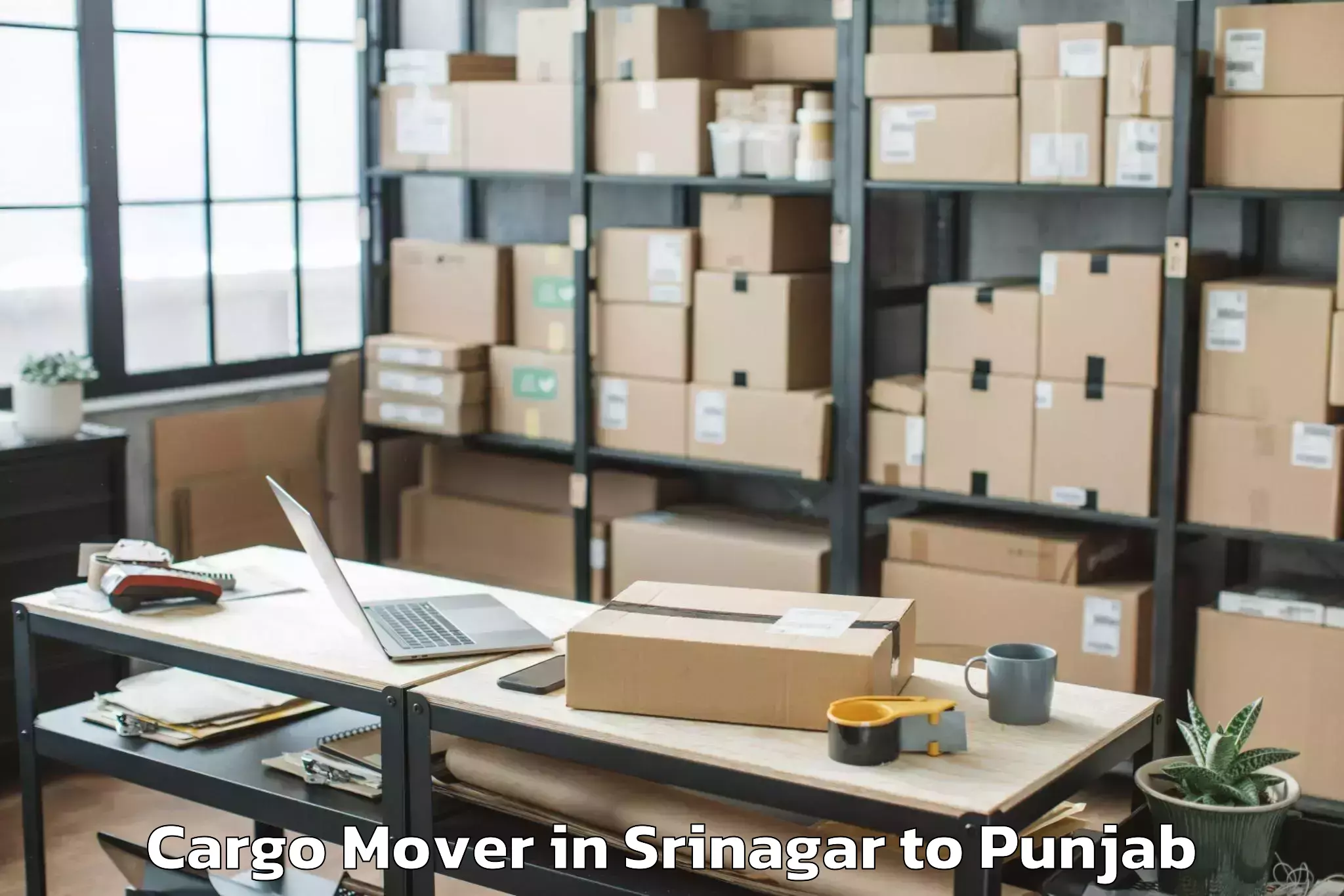 Professional Srinagar to Vr Ambarsar Mall Cargo Mover